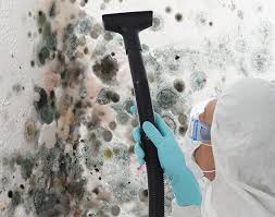 Ganado, TX Mold Removal Services Company